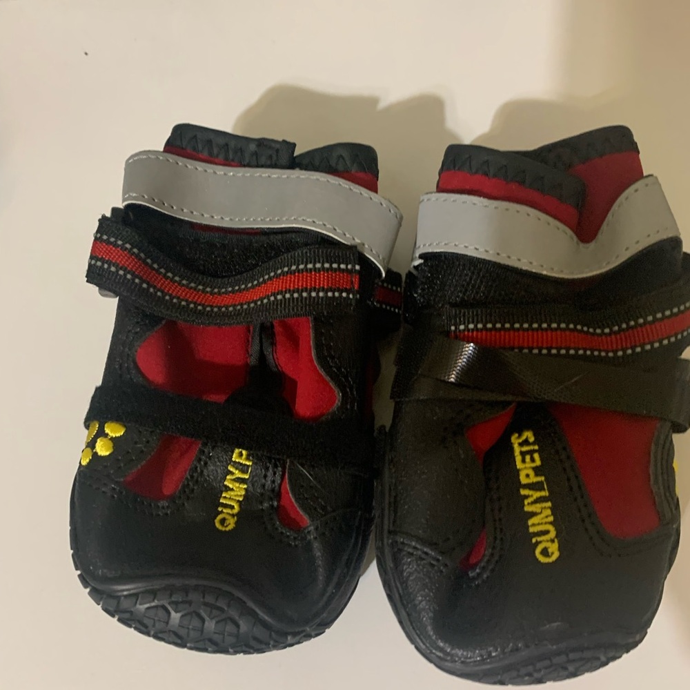 Black and Red Dog Shoes with Reinforced Toe Cap